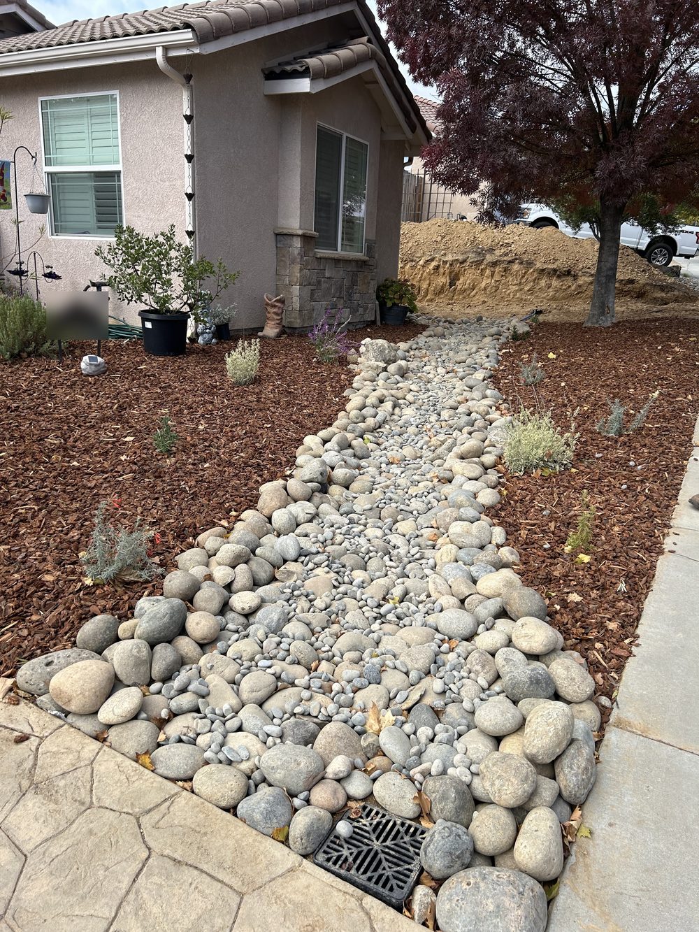 A wide river-rock channel running from a sidewalk drain grate up to a house, with bark mulch and small plants on either side.